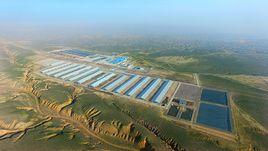 寧夏夏進乳業集團股份有限公司 寧夏夏進乳業集團股份有限公司