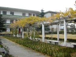 （圖）嘉定區徐行鎮成人中等文化技術學校