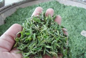 四明十二雷 四明十二雷