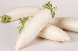 信豐蘿蔔 信豐蘿蔔