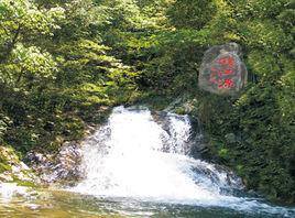 楊家莊[山東省海陽市徐家店鎮楊家莊村]