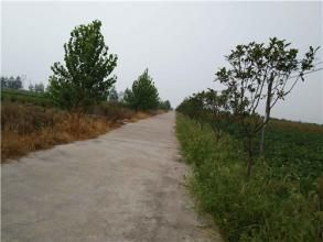 李家崗村 李家崗村