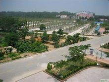 魯南海濱國家森林公園