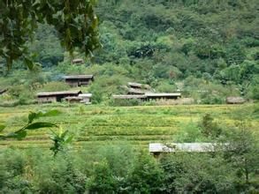 肖灣自然村 肖灣自然村