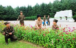 淮陽郡[朝鮮行政區劃名]