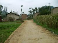 入村道路