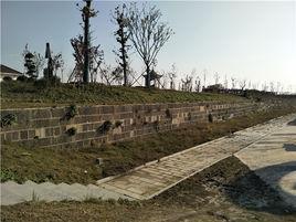 趙集鎮[江蘇省淮安市趙集鎮]