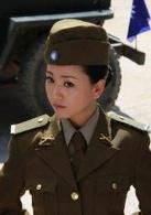 保衛延安[唐國強主演電視劇保衛延安]