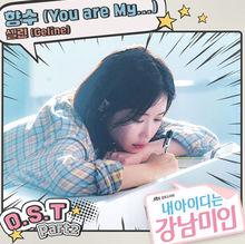 我的ID是江南美人 OST Part 2