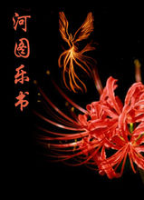 《鳳凰劫》封面