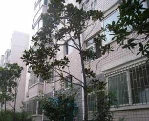 金淮花園二期 金淮花園二期