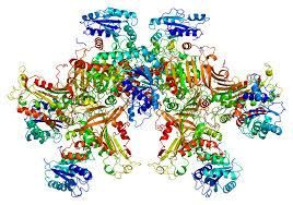 葡萄糖磷酸異構酶缺乏症 葡萄糖磷酸異構酶缺乏症