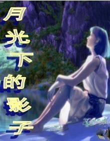 月光下的影子 月光下的影子