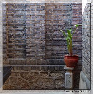 《翻過那堵牆》