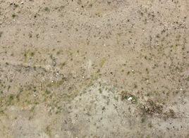 地面狀態 地面狀態