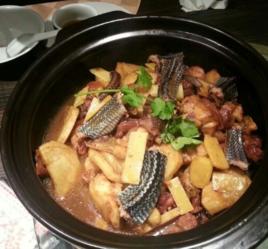 蛇肉煲 蛇肉煲