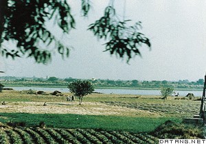 印度河-恆河平原