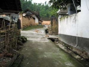 曼木中村 曼木中村