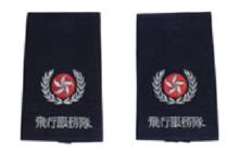 香港飛行服務隊