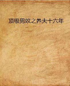 頂級男奴之養夫十六年 頂級男奴之養夫十六年
