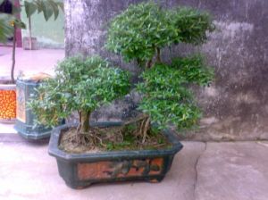 杭州傳統工藝館 杭州傳統工藝館