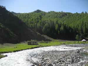 哈日圖熱格國家森林公園
