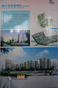 青島鄭莊村 青島鄭莊村