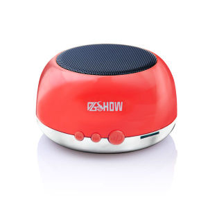 DGSHOW藍牙音箱 DGSHOW藍牙音箱