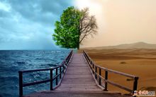 感情方面，桃花多多。