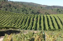 加利西亞區 加利西亞區