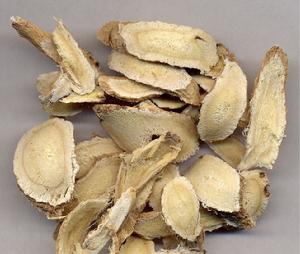 （圖）北芪燉乳鴿