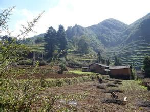 中槽子村 中槽子村