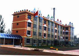 新蕾藝術幼稚園 新蕾藝術幼稚園