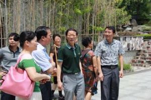 梨樹園社區 梨樹園社區