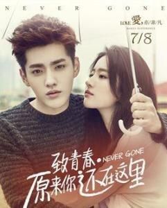 致青春原來你還在這裡 致青春原來你還在這裡
