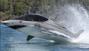Seabreacher最高速度可達到每小時50英里，可容納兩個人，躍出水面的高度可達到12英尺。