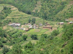 劉家沖自然村 劉家沖自然村