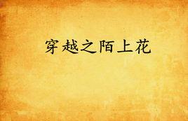 穿越之陌上花 穿越之陌上花