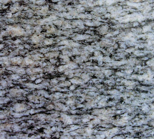 彩麗紋(珍珠) | Pearl |