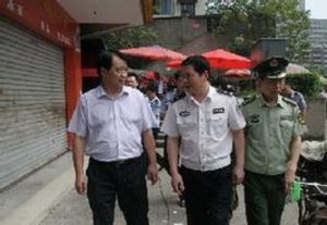 劉正光[重慶市大渡口區人民政府副區長]