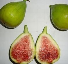 米飯花果 米飯花果