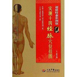 實測十四經脈穴位掛圖 實測十四經脈穴位掛圖