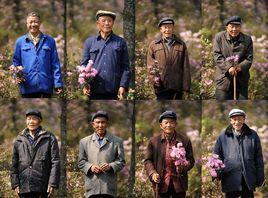 陸良八老 陸良八老