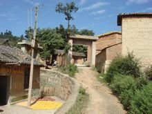 路家灣村 路家灣村