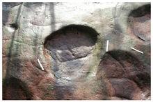 四川發現一組恐龍行跡化石群