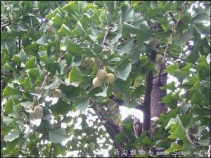 麻陽河自然保護區