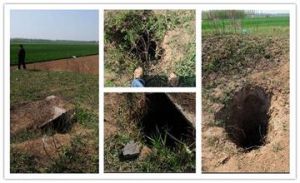 申盟亭墓群 申盟亭墓群