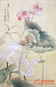 荷花鷺鷥圖 荷花鷺鷥圖