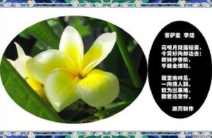 《菩薩蠻》