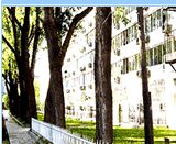 對外經貿大學 對外經貿大學